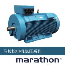55KW Marathon馬拉松電機